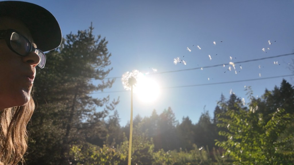 Woman blowing the seeds off of a dandelion